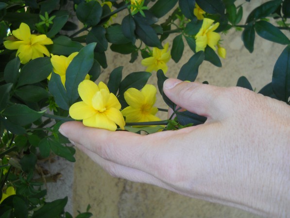 το γαλαζιο ζαλισε