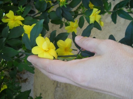 το γαλαζιο ζαλισε