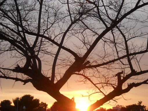 να δουμε το θαυμα