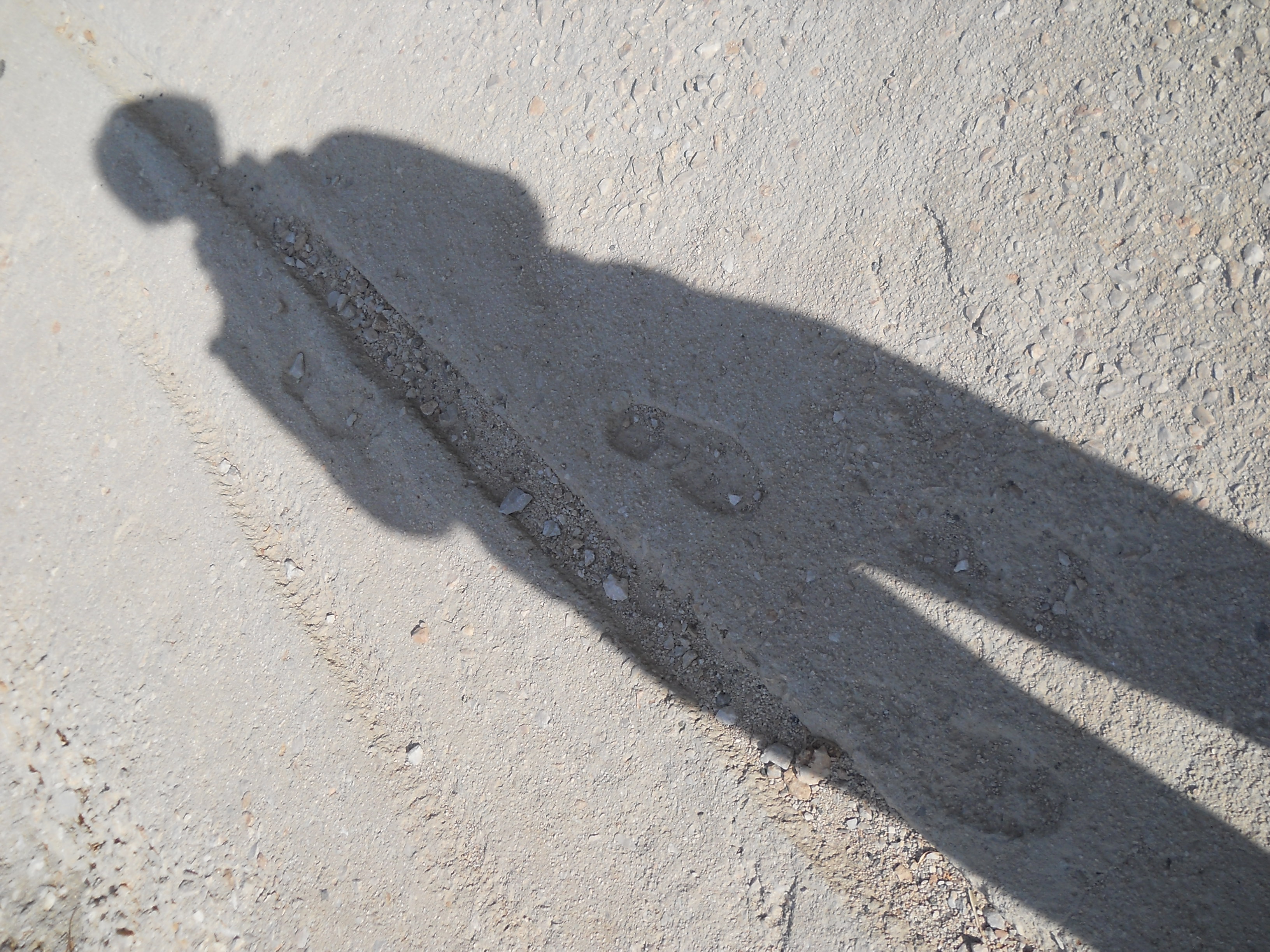 ασκηση θαρρους