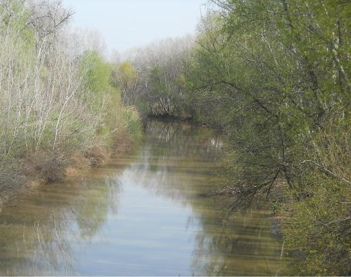"blue mirror" phot@rt by Aeglie