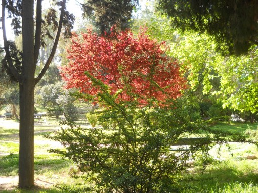 ανειπωτο γλιστρα
