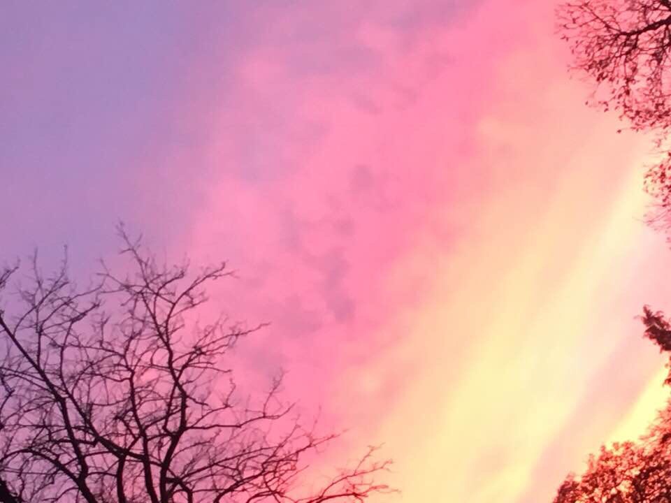 “sky flourishes” phot@rt by Aeglie